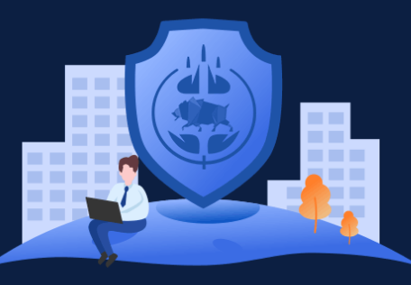 国产ERP系统有什么优势